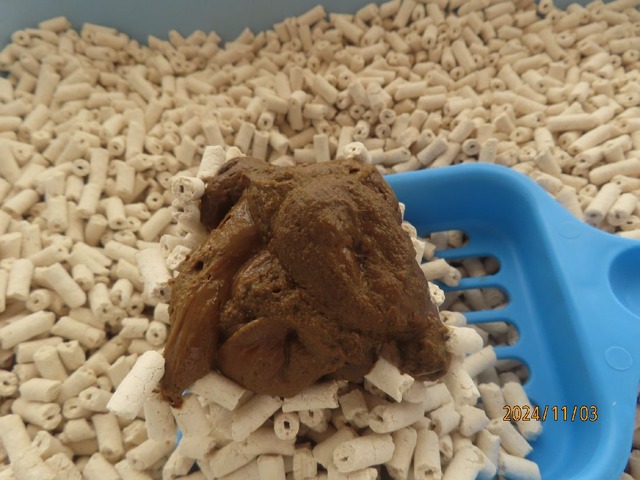 ウンチ②