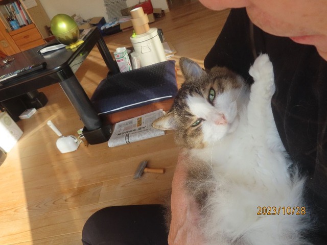 おしまい抱っこ