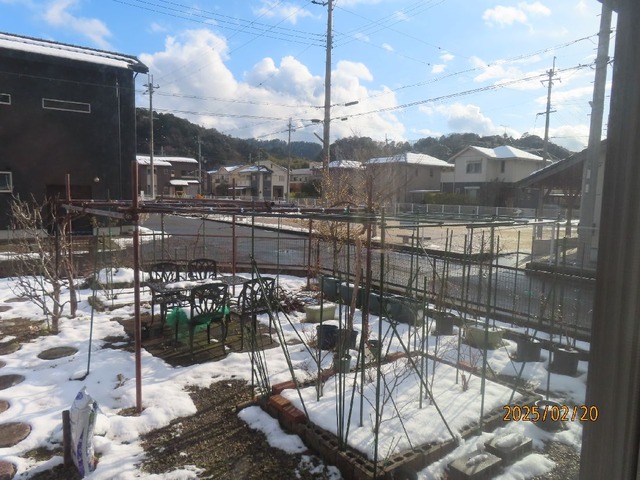 四時前雪どけ