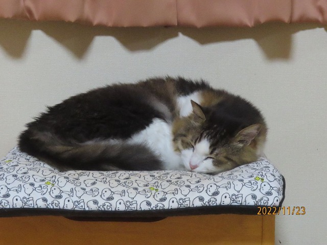 夜椅子②