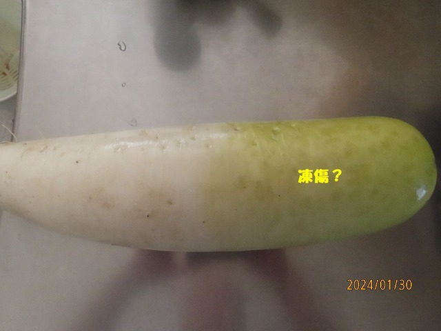 大根