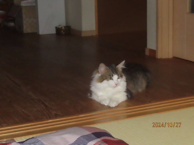 一時過ぎ寝るよ