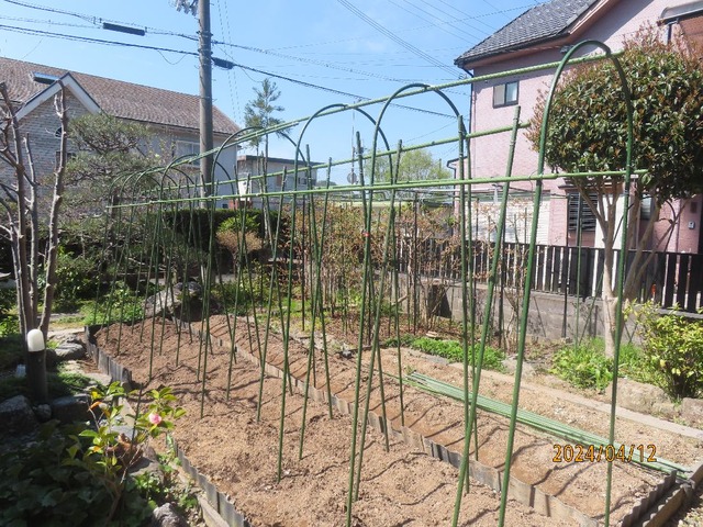 福村トマトトンネル