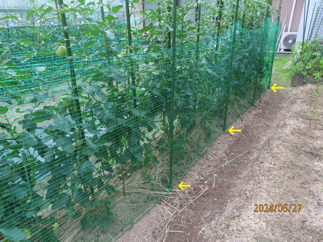 ネット押さえ②