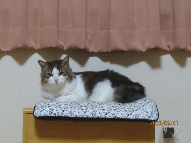 椅子へ