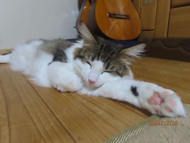 食後③