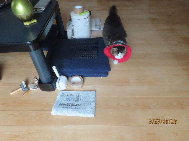 八時前来ました