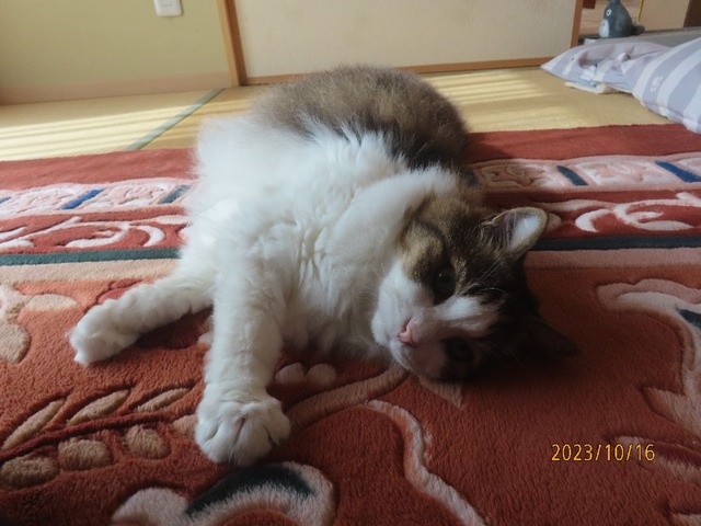 お出かけ①