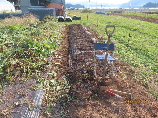 あとマルチね