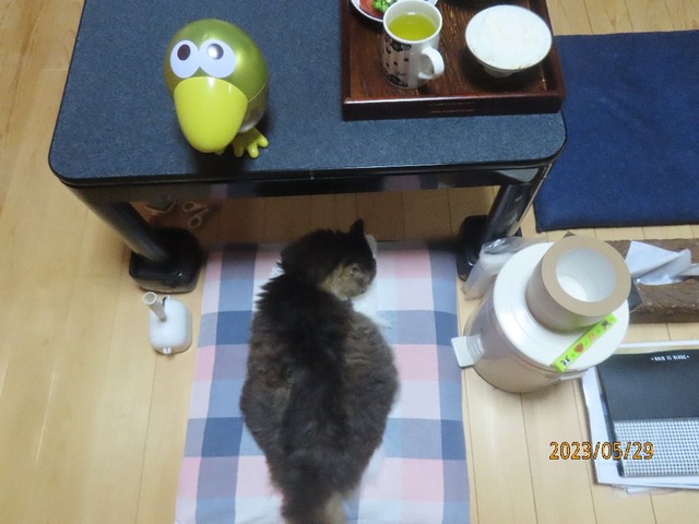 席移動