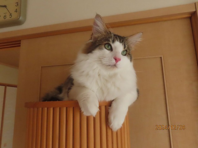 九時半タワー
