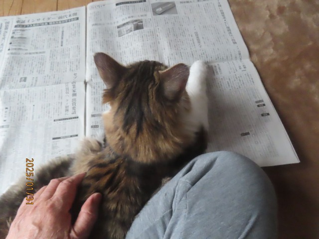 新聞