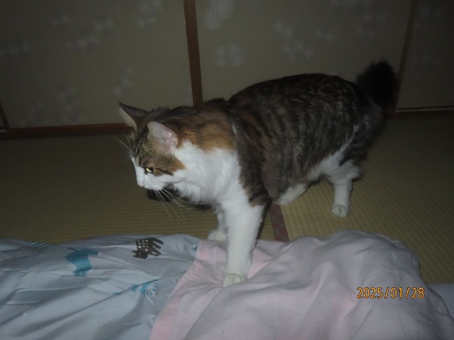 一時前来ました