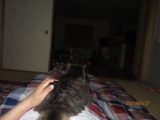 よしよし
