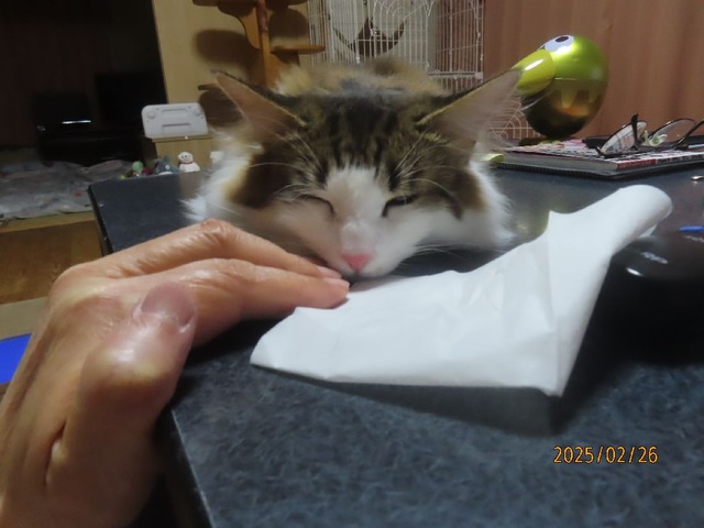 テーブル上②