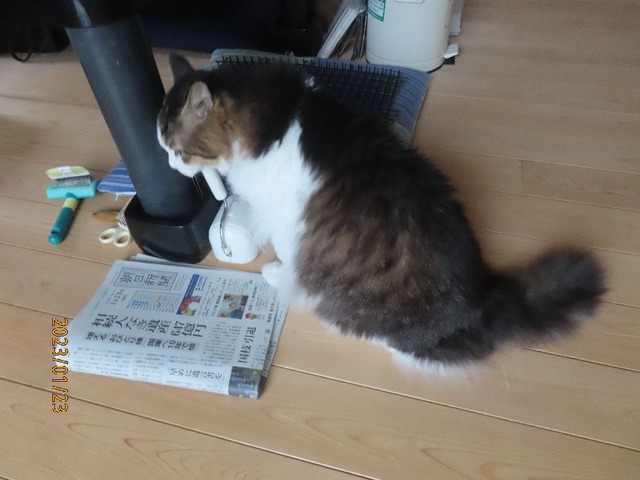 おはようさん