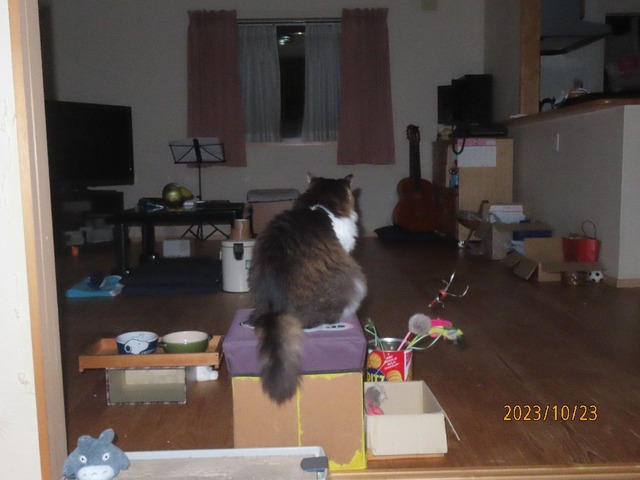 五時半スツール