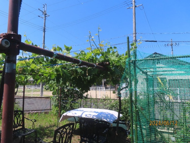 いい天気蒲団干し