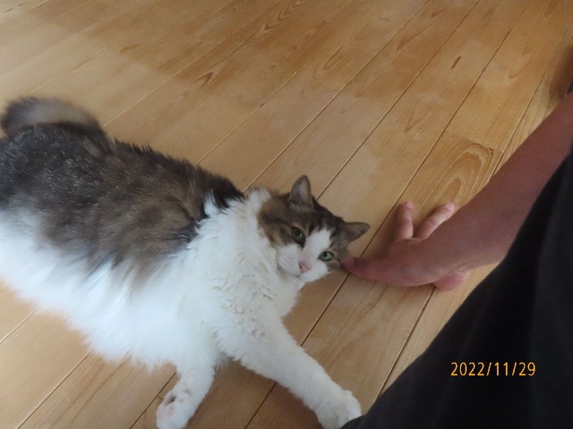 おはよ