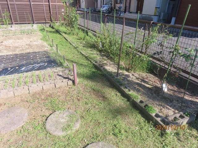 庭②ー②草刈後