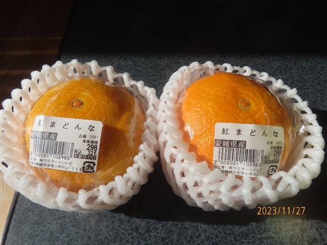 紅まどんな