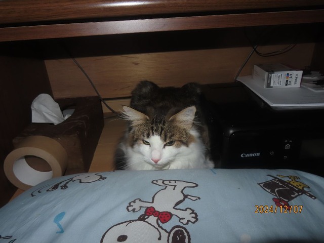 四時半起こした