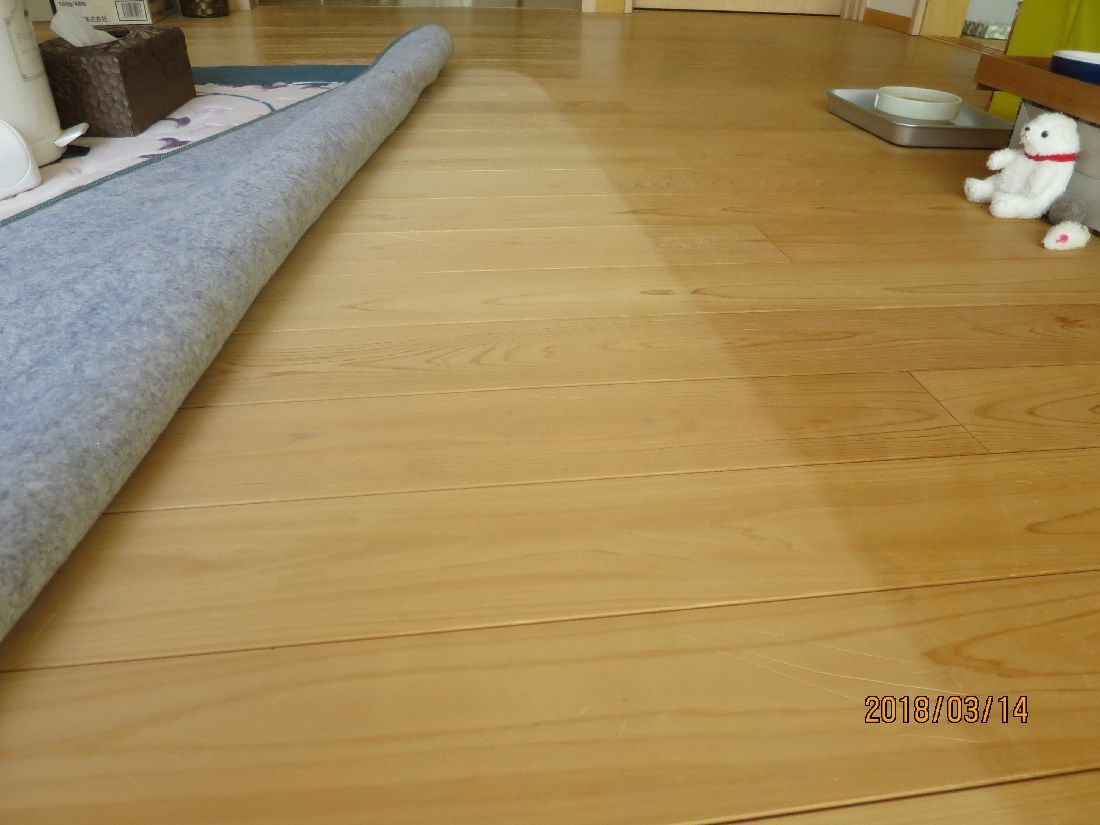 38301020.jpg