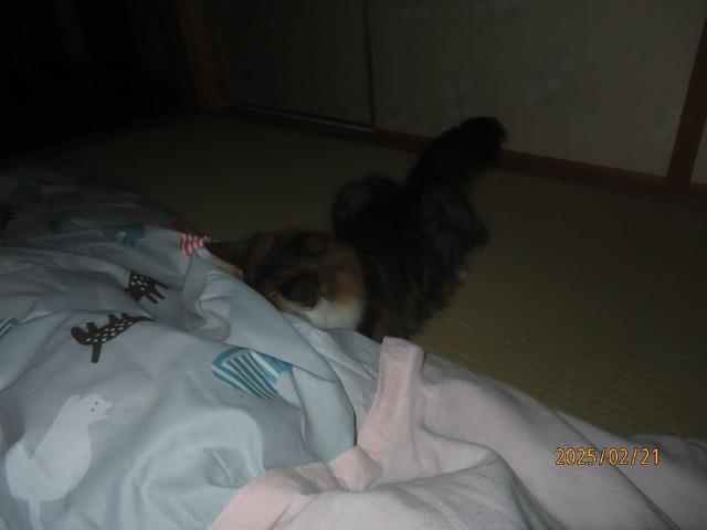 零時半②
