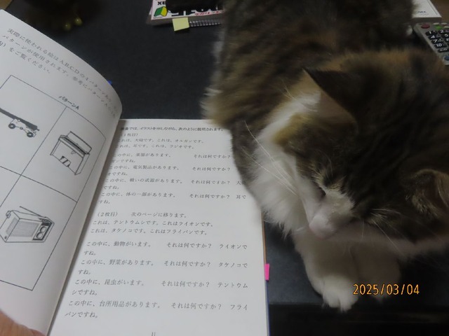 練習②