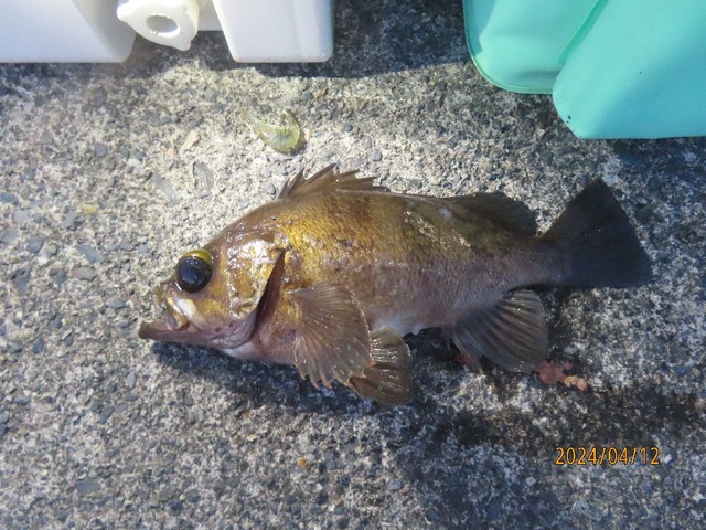 六時半来ました