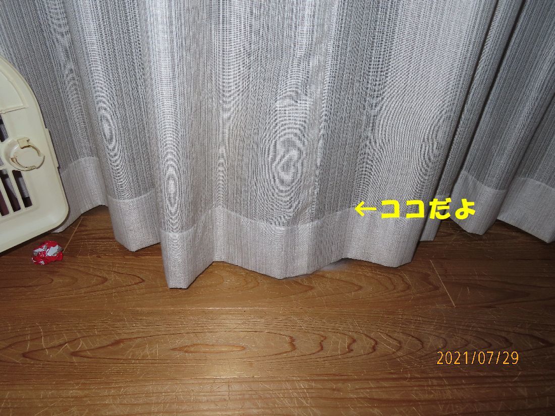 429f3299.jpg