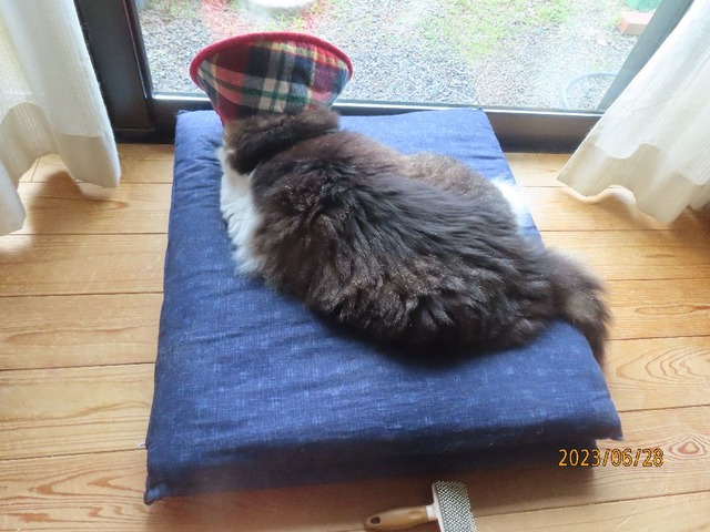 席に着きました