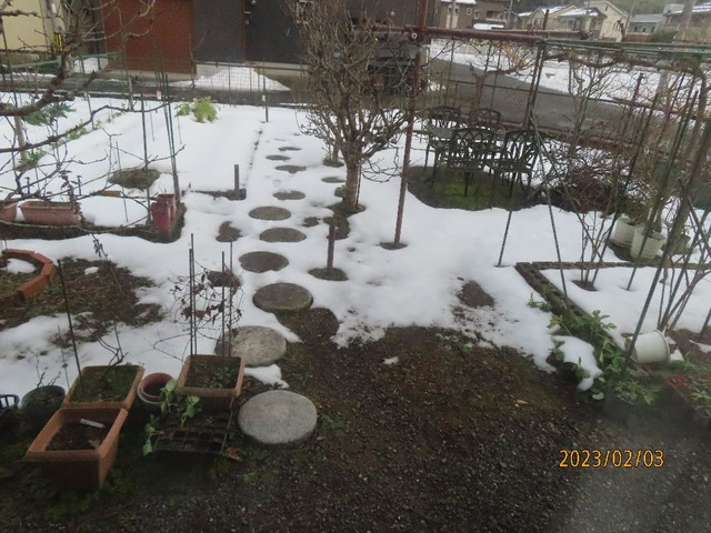 庭の雪解けもう少し