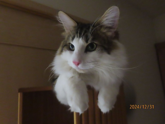 零時タワー②