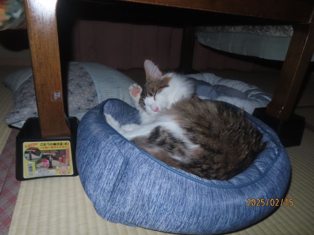 三時ベッド