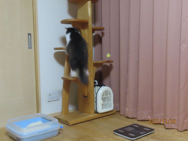 ふうちゃんタワー