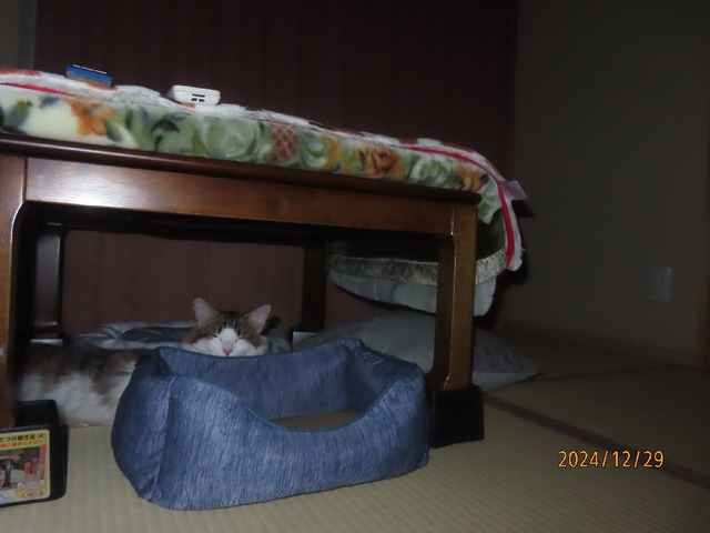 一時半