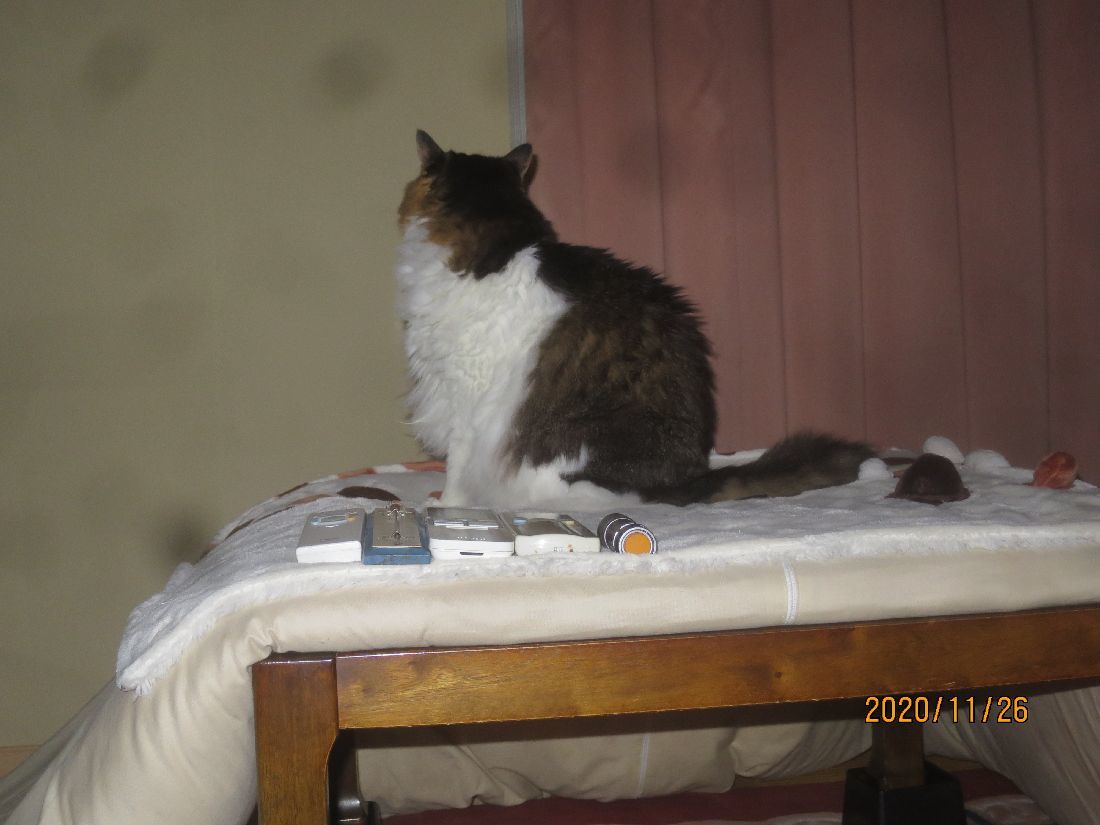 465060f8.jpg