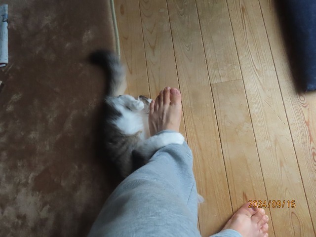 まる足ホールド