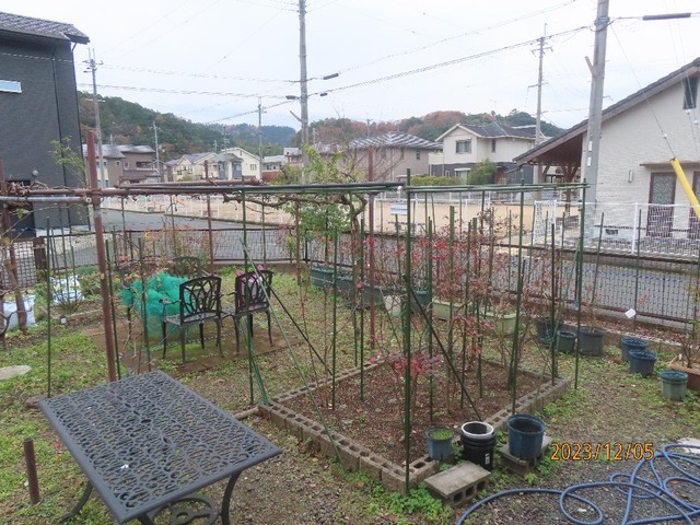 どんより庭