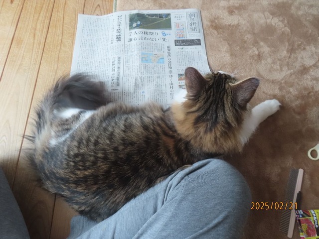 新聞