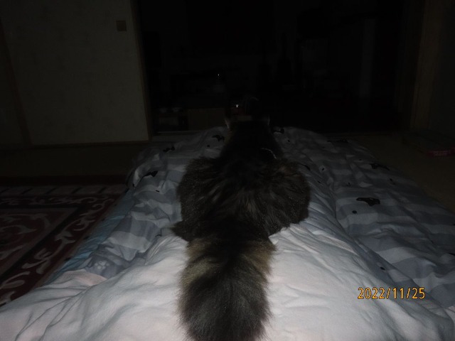一時過ぎどす