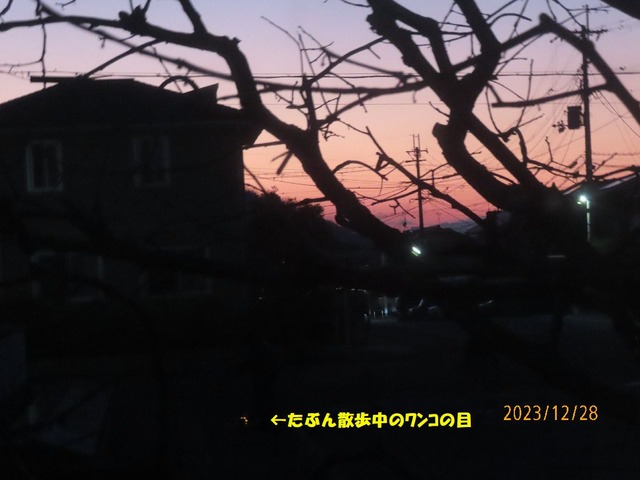 夕焼け