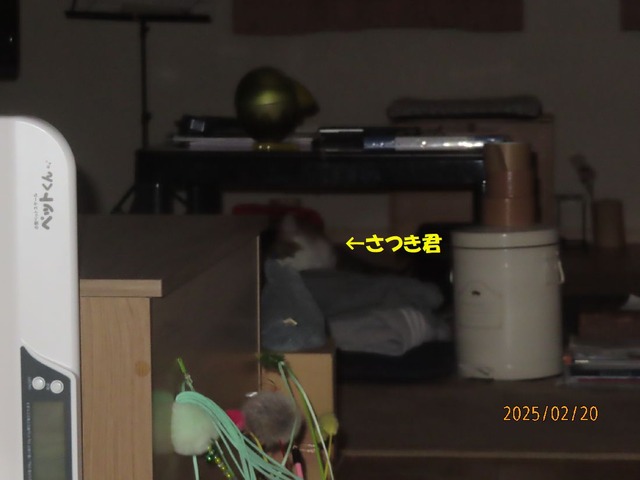 零時半テーブル下