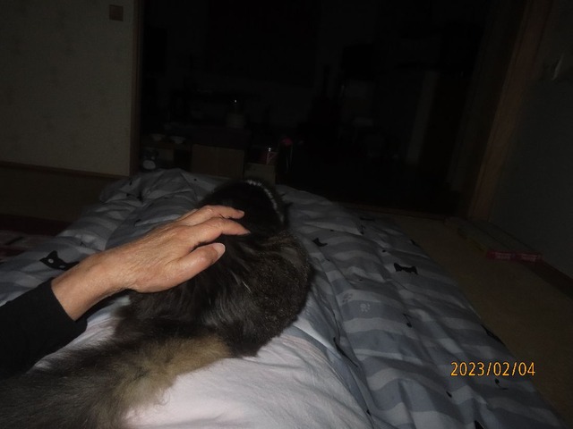 よしよし