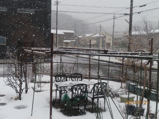 三時庭雪