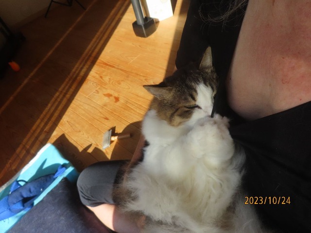 おしまい抱っこ