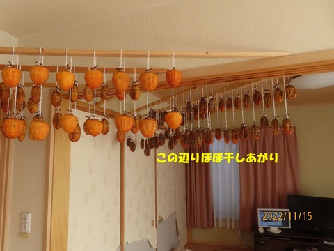 干し柿①