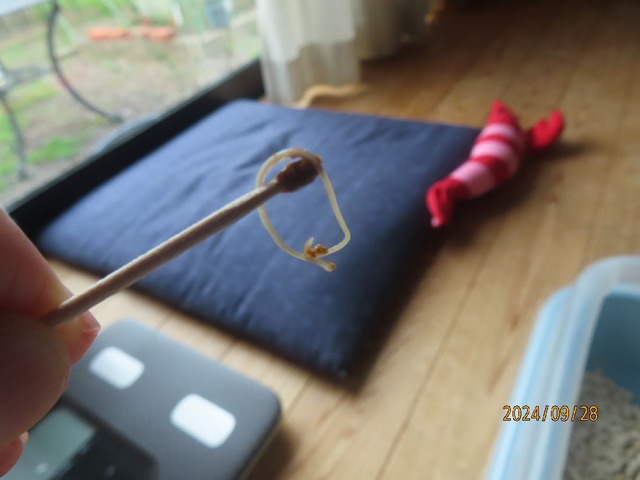 こ、これは・・・