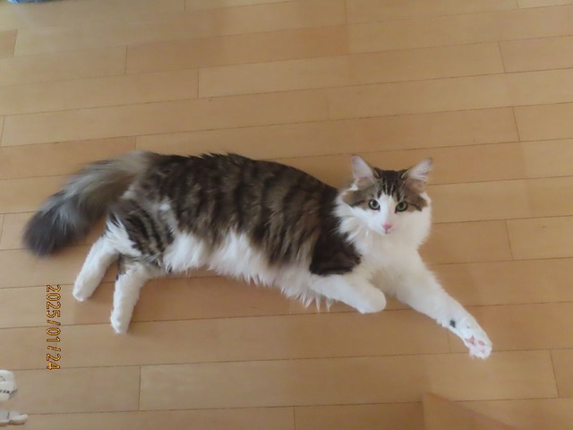 起きてきました